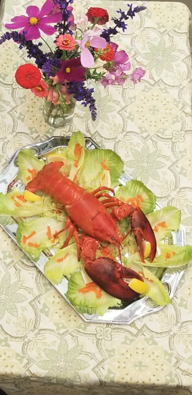 Lobster1