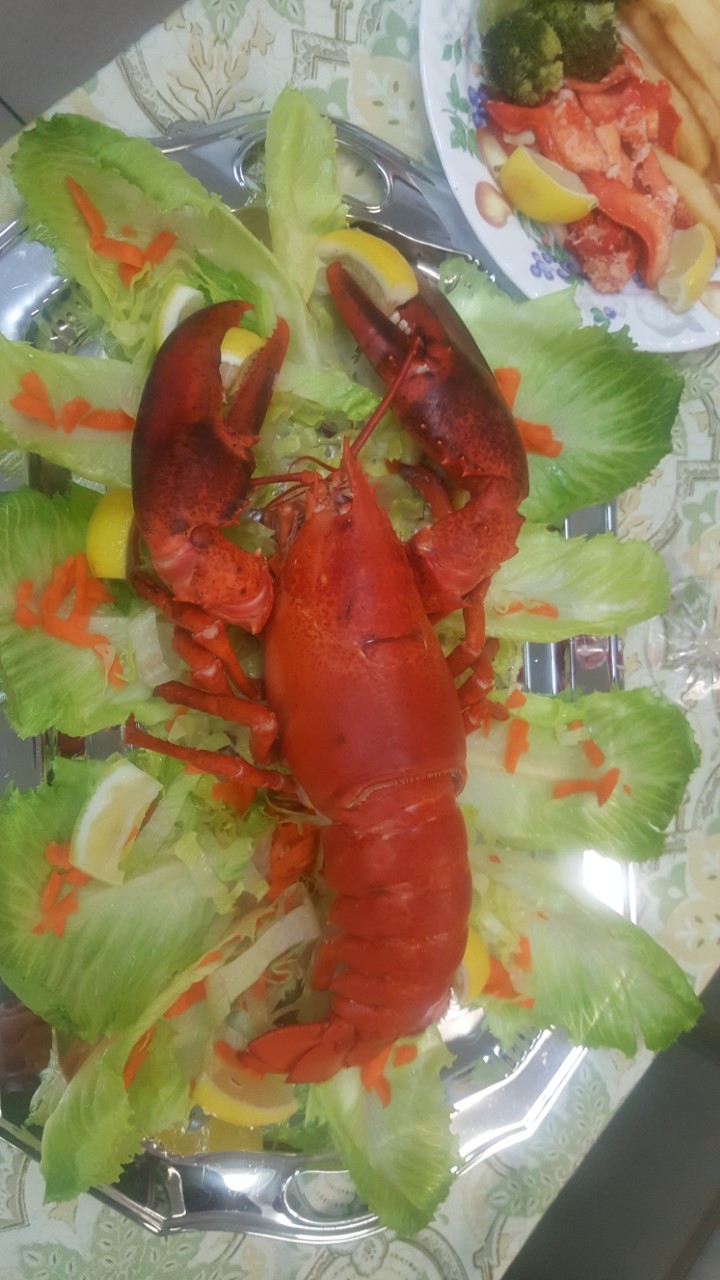 Lobster3